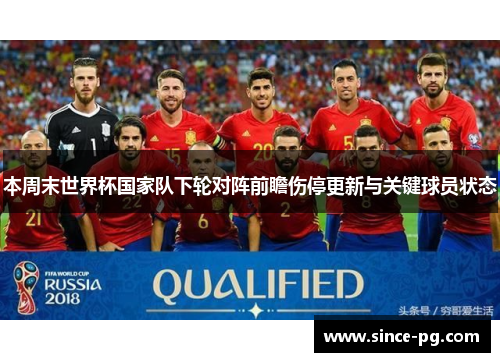 本周末世界杯国家队下轮对阵前瞻伤停更新与关键球员状态