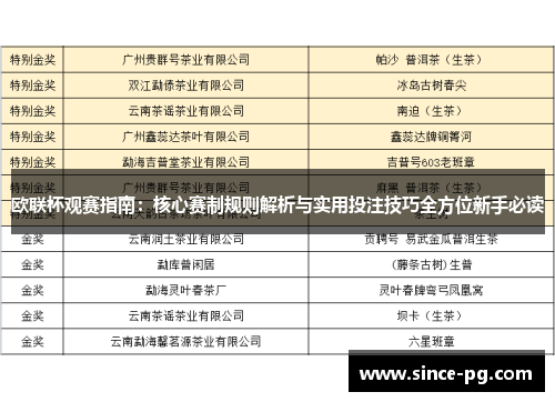 欧联杯观赛指南：核心赛制规则解析与实用投注技巧全方位新手必读