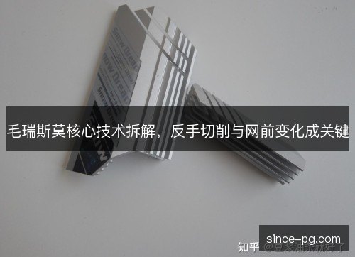 毛瑞斯莫核心技术拆解，反手切削与网前变化成关键
