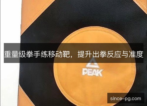 重量级拳手练移动靶，提升出拳反应与准度